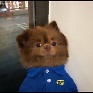 Meet your Posher, Nasir